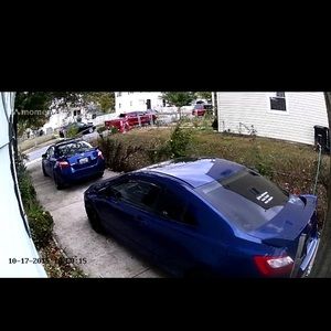 Meet your Posher, Roy